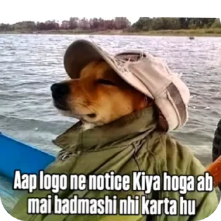🐶 emoji @piyushsharma_007 Telegram sticker 23 of 59