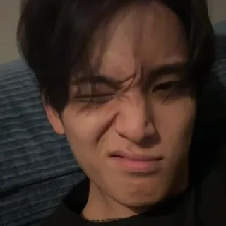 Sticker from MINGYU @iGUDANGSTIKER