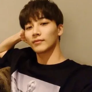🌿 emoji paduka jeonghan Telegram sticker 10 of 72