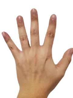 ✋ emoji 手收 Telegram sticker 11 of 28
