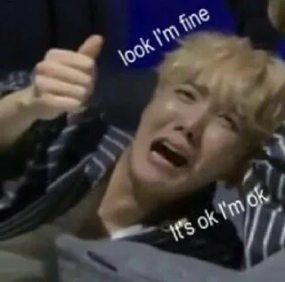 😫 emoji BTS Telegram sticker 12 of 79