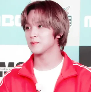 🐻 emoji ◜lee haechan◞ ─ @petualangcilik Telegram sticker 15 of 38