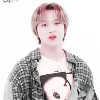 🐻 emoji ◜lee haechan◞ ─ @petualangcilik Telegram sticker 10 of 38