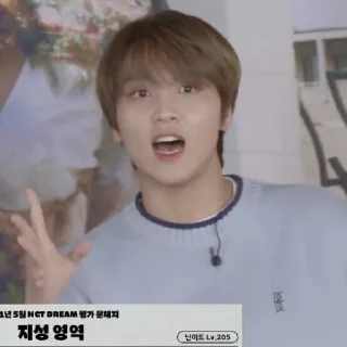 🥍 emoji LEE HAECHAN V7 ⋆ @ARTHEAS Telegram sticker 24 of 85