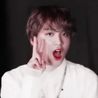 🐻 emoji ◜lee haechan◞ ─ @petualangcilik Telegram sticker 8 of 38