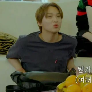 🐾 emoji LEE HAECHAN V3 ⋆ @ARTHEAS Telegram sticker 21 of 115
