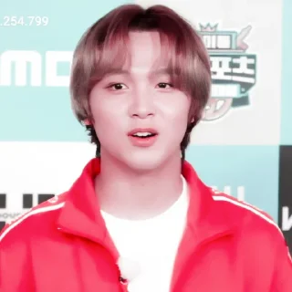 🐻 emoji ◜lee haechan◞ ─ @petualangcilik Telegram sticker 16 of 38