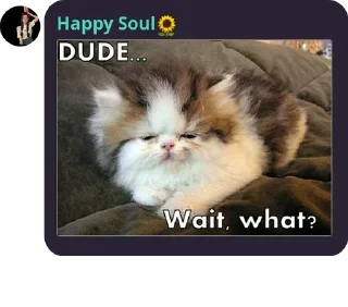 Sticker from Happy Soul