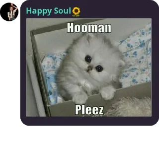 Sticker from Happy Soul