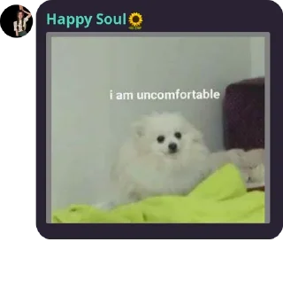 🥲 emoji Happy Soul Telegram sticker 21 of 31