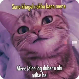 😂 emoji gajju says Telegram sticker 11 of 19