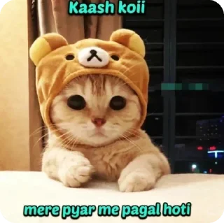 😍 emoji gajju says Telegram sticker 17 of 19