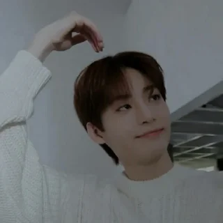 💰 emoji 𖠳 ⋆ jungmo dark — @atapmeneduh Telegram sticker 19 of 40