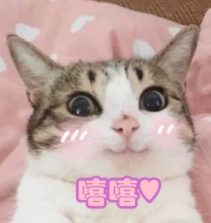 🥰 emoji @xiang0000 HR想想 Telegram sticker 11 of 119