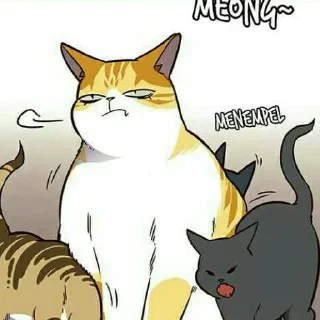 🐱 emoji Kaiden @stiker_webtoon Telegram sticker 12 of 30