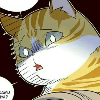 🐱 emoji Kaiden @stiker_webtoon Telegram sticker 17 of 30