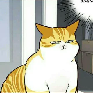 🐱 emoji Kaiden @stiker_webtoon Telegram sticker 13 of 30