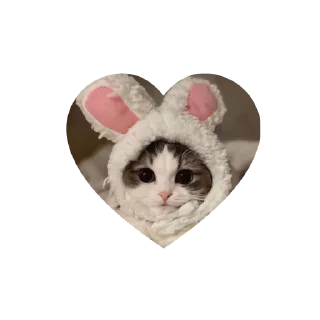 🤩 emoji Join - @Trystickers Telegram sticker 17 of 30