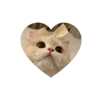 🤩 emoji Join - @Trystickers Telegram sticker 13 of 30