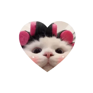 🤩 emoji Join - @Trystickers Telegram sticker 15 of 30