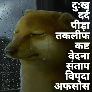 Sticker from Dukh Dard Peeda Kasht : @Dont_Dm