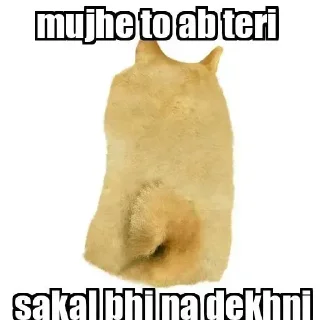 😁 emoji Dogee pamk  @r_squared_rishabh Telegram sticker 24 of 120