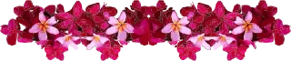 🌺 emoji 🎖 @Talk2Owner 🎖 Telegram sticker 22 of 27