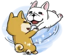 🐶 emoji DOCA @stickerscar Telegram sticker 3 of 80