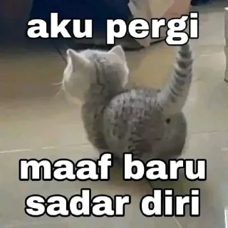 🐳 emoji abil kiyut Telegram sticker 18 of 22