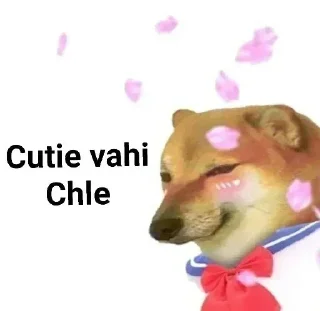 😂 emoji Cheems Cutie Pack [@NIOAX] Telegram sticker 18 of 45