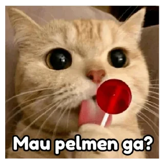 🤤 emoji kangcomot v4 Telegram sticker 24 of 120