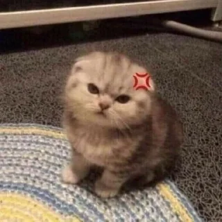 Sticker from meaw~ @cheshayaa