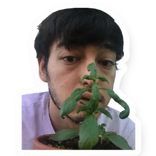 Sticker from Joji