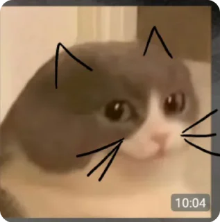 🤣 emoji @Iueaesthetic's Kang Pack (Video) Vol.0 Telegram sticker 11 of 50