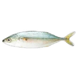 🫥 emoji Ikan Didudod Telegram sticker 15 of 22
