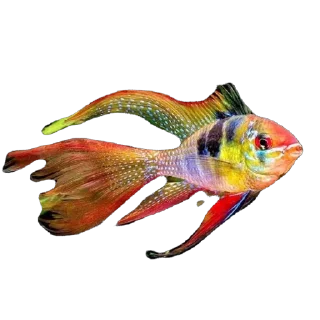 🫥 emoji Ikan Didudod Telegram sticker 19 of 22