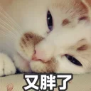 😿 emoji 🍦 Telegram sticker 19 of 21