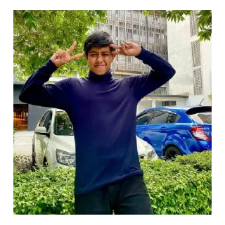 🙂 emoji Ammar Nazhan Telegram sticker 2 of 30