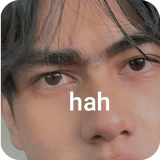 😀 emoji peter ngh Telegram sticker 9 of 12