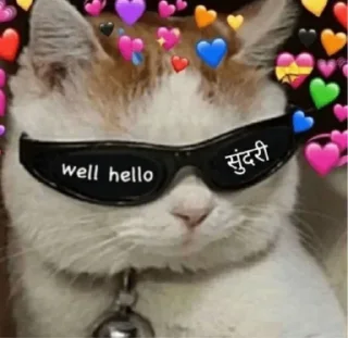 Sticker from @Opstickerpacks 🌟Hindi Memes 💖