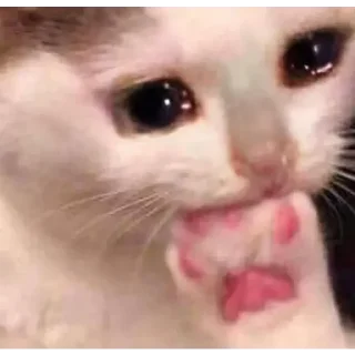 🥺 emoji So estetikk Telegram sticker 11 of 18