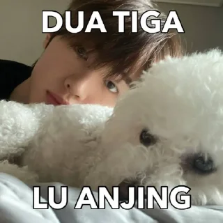 🤙 emoji Juan bersabda Telegram sticker 15 of 18