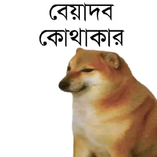 👀 emoji @TanvirAhmed_555 DogePack Telegram sticker 4 of 68