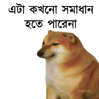 👀 emoji @TanvirAhmed_555 DogePack Telegram sticker 15 of 68