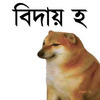 👀 emoji @TanvirAhmed_555 DogePack Telegram sticker 7 of 68