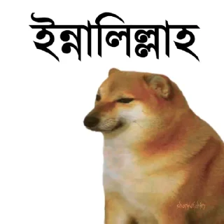 👀 emoji @TanvirAhmed_555 DogePack Telegram sticker 23 of 68