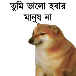 👀 emoji @TanvirAhmed_555 DogePack Telegram sticker 10 of 68