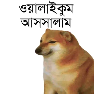 👀 emoji @TanvirAhmed_555 DogePack Telegram sticker 2 of 68