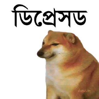 👀 emoji @TanvirAhmed_555 DogePack Telegram sticker 24 of 68