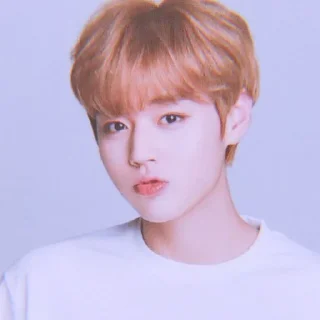 💗 emoji ᥲ᥊ᥱᥣι᥆ᥒ sOftt﹆ Telegram sticker 12 of 32
